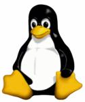 Tux penguin, the symbol of Linux.