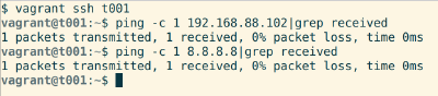 Network Debian machines in Vagrant VirtualBox