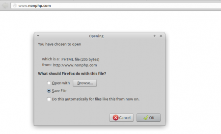 vhost_nonphp_com