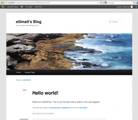 wp_permalinks_test