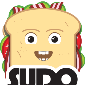 Sudo without password
