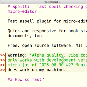 Speltti - Fast spell checking plugin for Micro